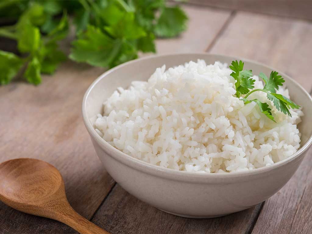 Manfaat Nasi Putih Sebagai Pakan Ayam Aduan