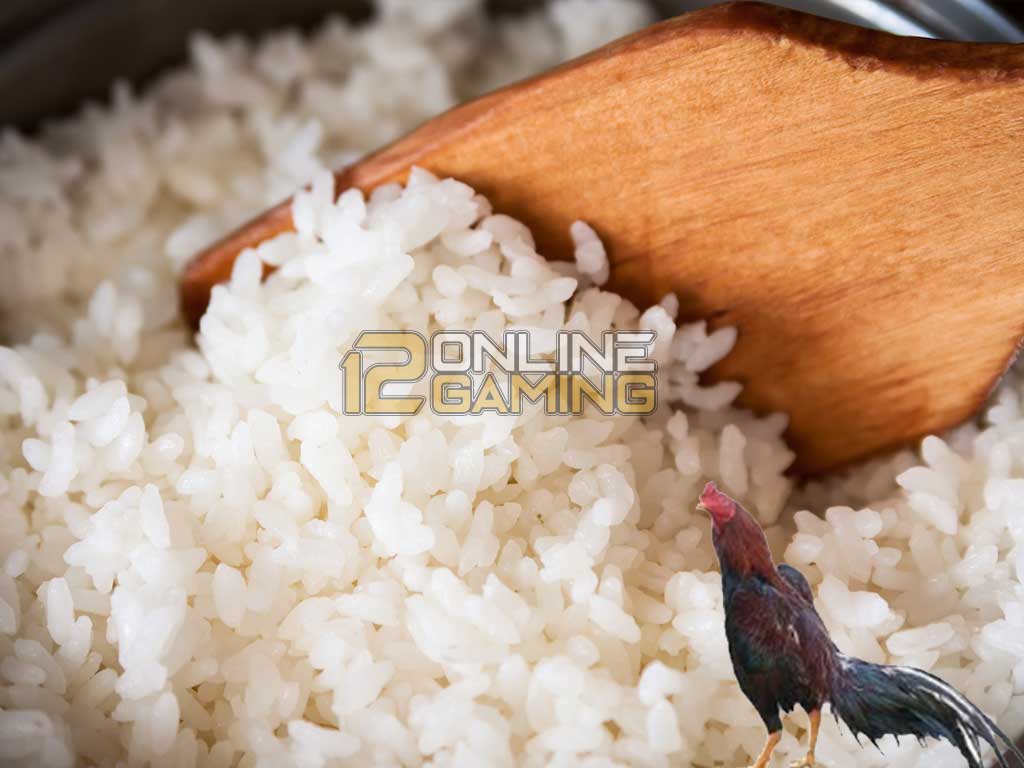 Manfaat Nasi Putih Sebagai Pakan Ayam Aduan